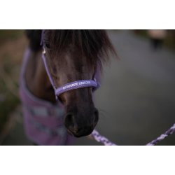 HORSEGUARD MALVA Grime. Montana Grape. "My Favorite Unicorn"