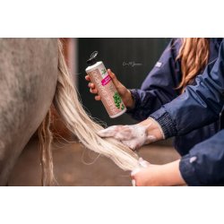 BENSE &amp; EICKE Care hesteshampoo. 