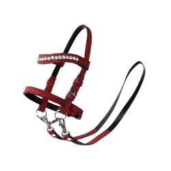 MY HOBBY HORSE Trense med bid, til kphest. Rd Glitter