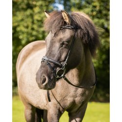 QHP FROSTI Isl�ndertrense