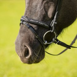 QHP FROSTI Isl�ndertrense