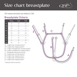 QHP ONTARIO Fort�j med martingale