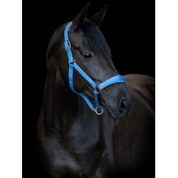 HORSEGUARD DIYA 2.0 Grime. Coronet Blue