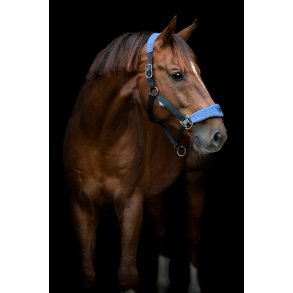 CATAGO FIR-Tech Grand Grime. Crown Blue