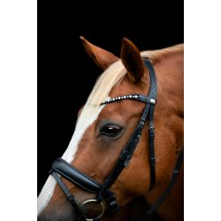 HORSEGUARD CRYLL 25.2 Trense med kombineret nsebnd og tilbagetrk.