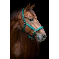 CATAGO ALEA Reflekterende logogrime. Ponderosa Pine