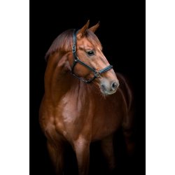 CATAGO NOVI 25.2 Ldergrime. Sort.