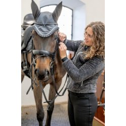 HORSEGUARD VILLA Hut. Asphalt