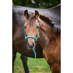 HORSEGUARD MALVA F�lgrime. Arctic Blue