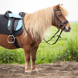 QHP Shetl�ndersadel med tilbeh�r. Bl�