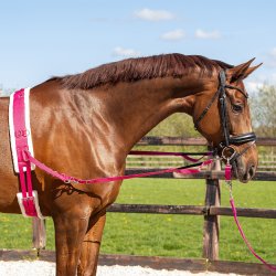 QHP ONTARIO Longeringsgjord. Pink