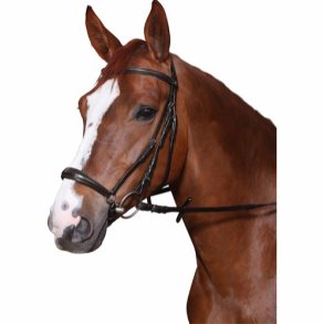 HORSEGUARD CHEVAL Trense med Hannoveransk nsebnd