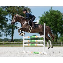 QHP ONTARIO Gjord med imiteret pels