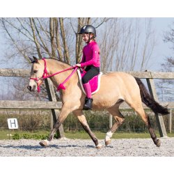 QHP BAREBACK Sadelpad