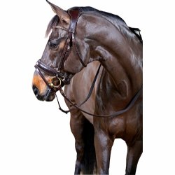 HORSEGUARD ERGO Trense med tilbagetrk