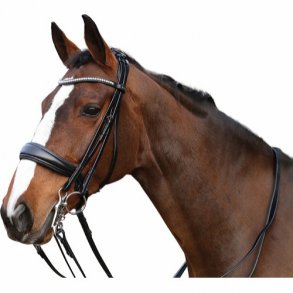 HORSEGUARD Ergo kandar m/tjler 