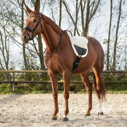 QHP ONTARIO Bareback pad. 