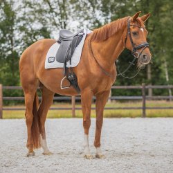 QHP NUMBER Underlag med p�sat st�vnenummer. Hvid