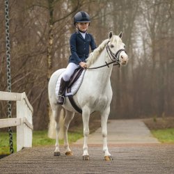 QHP MELBOURNE Ponysadel og trense. Brun