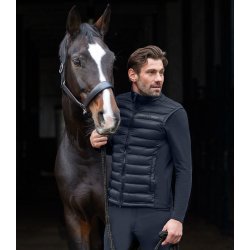 ELT MAINE Softshell vest til herrer. Navy
