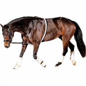 HORSEGUARD Soft Longeringshjlp