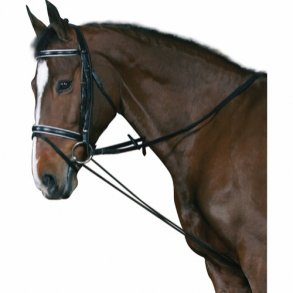 HORSEGUARD Elastikchambon  