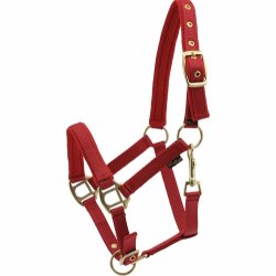 HORSEGUARD Nylongrime m/frott 