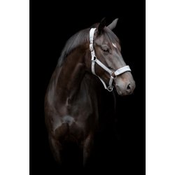 CATAGO FIR-TECH Grime. Monument Grey