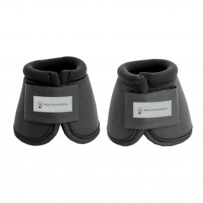 WALDHAUSEN Anatomiske Klokker