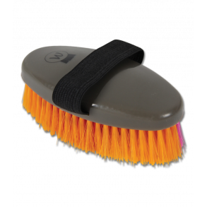 WALDHAUSEN Neonstrigle