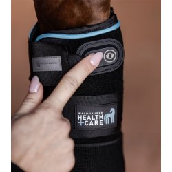 WALDHAUSEN Health + Care Gamache