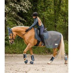 WALDHAUSEN PEGASUS Dressurgamacher