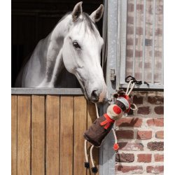 WALDHAUSEN RUDI the Reindeer bokslegetj