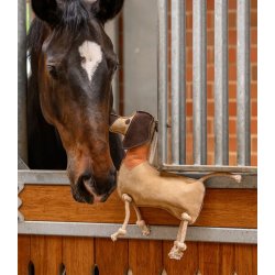 WALDHAUSEN DIETER Gravhund boksleget�j