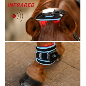 WALDHAUSEN W-Health & Care Infrar�d FlexPad