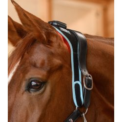 WALDHAUSEN W-Health &amp; Care Infrar�d FlexPad