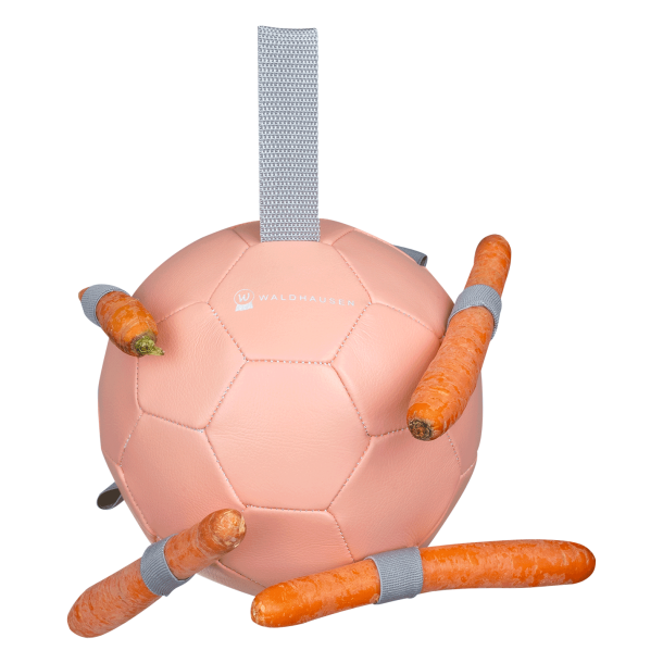 WALDHAUSEN Gulerodsbold. Lyserd