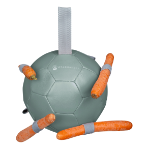 WALDHAUSEN Gulerodsbold. Misteltoe/grgrn