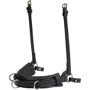 GENTLE BRIDLE Kapsun. 