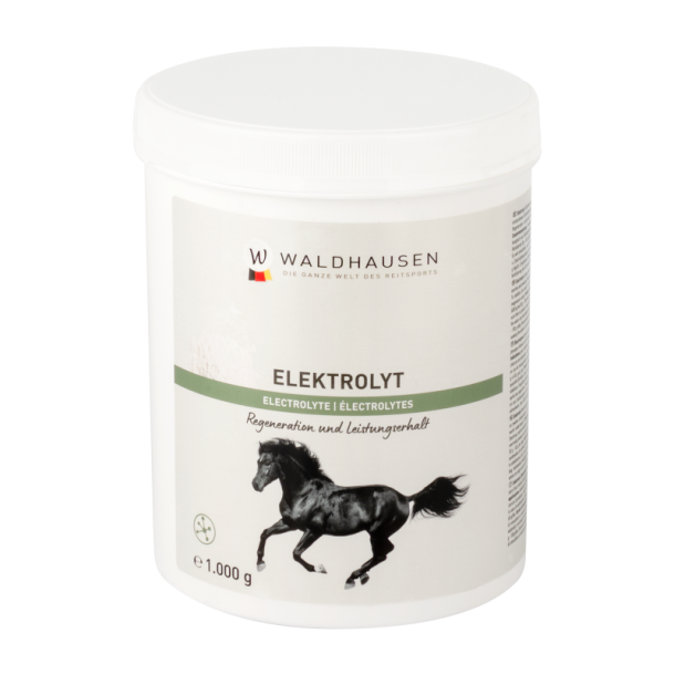 WALDHAUSEN Elektrolytter, 1 kg