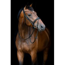 HORSEGUARD EMI 26.1 trense med kombineret n�seb�nd. Sort