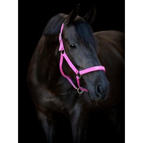 HORSEGUARD MALVA Grime. Phlox Pink. 