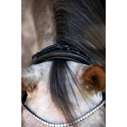 CATAGO NIVAL 26.1 Rundsyet trense med kombineret n�seb�nd og tilbagetr�k 