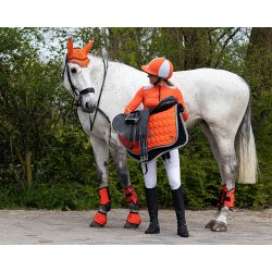 QHP EVENTING Forbensgamacher. Orange