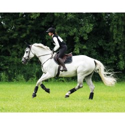 QHP EVENTING Forbensgamacher. Sort