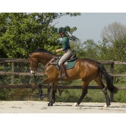 QHP EVENTING Bagbensgamacher. Sort