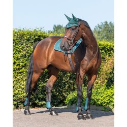 QHP ESSENTIALS Springgamacher. S�t med 4. Dark Green