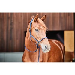 CATAGO Ldergrime. Navy