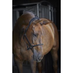 CATAGO Ldergrime. Sort