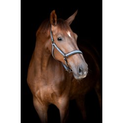 CATAGO NAME Grime. Monument/slvgr